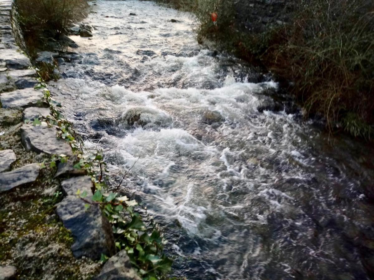 Bro Arran Villa Dolgellau Dış mekan fotoğraf